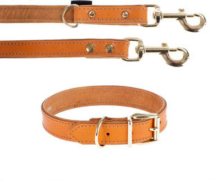 Produktbild von Heim Set aus Lederhalsband und Führleine Buffalo in Cognac Braun, Halsband Größe 55 und Leine 200 cm