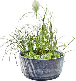 Heissner Gartenbrunnen Solar Aquatopia Wasserspiel Komplett-Set mit Wasserpumpe – Bild 1 von 5