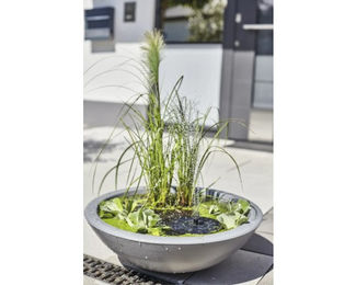 Heissner Solar Miniteich Lotusgarden mit Wasserspielpumpe – Bild 1 von 6