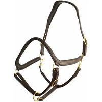 Produktbild von Hekktor Anubis Lederhalfter für Warmblut Pferde in Schwarz oder Braun