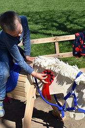 Helga Kreft Halfter für Gartenpferde blau mit Chrombeschlägen – Bild 1 von 2