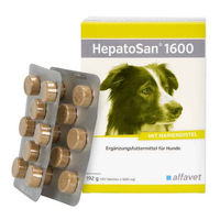 Produktbild von Hepatosan 1600 Nahrungsergänzung für Hunde zur Unterstützung von Leber und Nieren 120 Tabletten - 120 x 1600 mg
