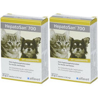 Produktbild von HepatoSan 700 Tabletten zur Unterstützung von Leber und Nieren für Kleintiere