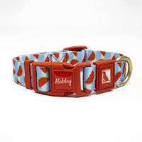 Produktbild von Heré Mood Hundehalsband aus recyceltem Material Watermelon 25mm für mittelgroße und große Hunde