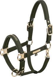 Heritage Faux Leather Halfter mit Doppel-Pin – Bild 1 von 1