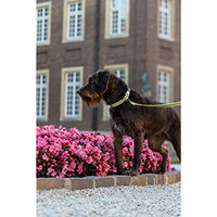 Produktbild von Herm Sprenger Reflektierendes Halsband Neon Gelb Verstellbar 30-45 cm - 1 Stk.