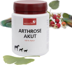 HerzensTier Arthrose Akut Ergänzungsfutter für Hunde Katzen und Pferde zur Unterstützung der Gelenke 75g – Bild 1 von 3