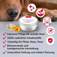 Produktbild von HerzensTier Bienenwundercreme Pfotenpflege und Pfotenbalsam für Hunde Katzen und Pferde 10 ml
