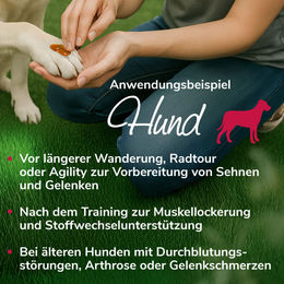 HerzensTier Gelenkwundergel für Pferde Hunde und Katzen 200ml – Bild 1 von 2