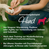 Produktbild von HerzensTier Gelenkwundergel für Pferde Hunde und Katzen 200ml