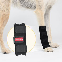 HerzensTier Karpalgelenksbandage aus Neopren für Hunde und Katzen in Schwarz – Bild 1 von 4
