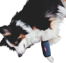 HerzensTier Kühl- und Wärmebandage aus Fleece für Hunde und Katzen Größe S Blau – Bild 1 von 5