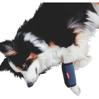 Produktbild von HerzensTier Kühl- und Wärmebandage für Hunde und Katzen Größe L