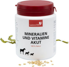 HerzensTier Mineralien und Vitamine akut zur Immunstärkung und Rekonvaleszenz für Hunde, Katzen und Pferde 150 ml – Bild 1 von 3