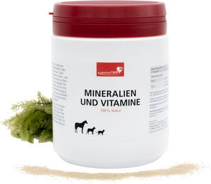 HerzensTier Mineralien und Vitamine für Hunde, Katzen und Pferde 500 ml – Bild 1 von 3