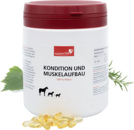 HerzensTier Nahrungsergänzung Pulver für Muskelaufbau und Herz für Hunde, Katzen und Pferde 600 g – Bild 1 von 3