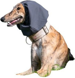 HerzensTier Ohrenschutz für Hunde und Katzen aus wasserabweisendem Stoff in Grau und Schwarz – Bild 1 von 4
