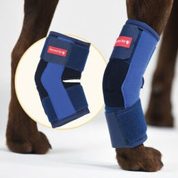 HerzensTier Sprunggelenkbandage aus Memory Foam für Hunde und Katzen Blau Größe L – Bild 1 von 4