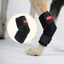 HerzensTier Sprunggelenkbandage aus Neopren in Schwarz Größe XL für Hunde und Katzen – Bild 1 von 4