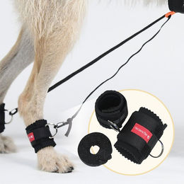 HerzensTier Trainingsbandage für Hunde aus Neopren in Schwarz – Bild 1 von 4