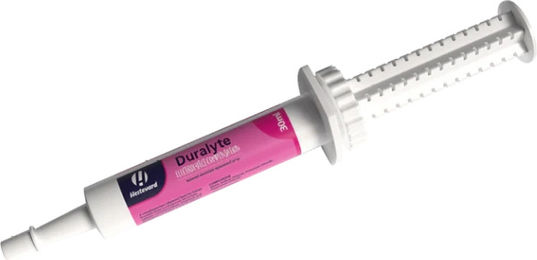 Hestevard Duralyte Paste für den Elektrolytausgleich bei Pferden – Bild 1 von 2
