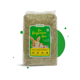 Heu-Heinrich Bio-Bergwiesenheu Raufutter für Kleintiere 4 kg – Bild 1 von 2