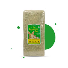 Heu-Heinrich Bio-Bergwiesenheu Raufutter für Kleintiere 8 kg – Bild 1 von 2