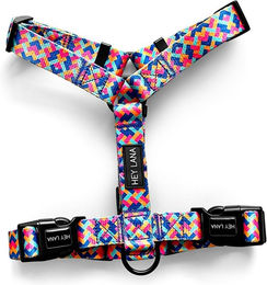 Hey Lana Hunde-Führgeschirr für Welpen aus Nylon in Pink/Türkis Bunt Größe XS – Bild 1 von 6