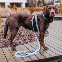 Produktbild von Hey Lana Hundeleine aus Kunstleder, wasserabweisend, 3-fach verstellbare Führleine für Hunde, Taupe/Blau, M-L, 230 x 2,5 cm - 230 cm