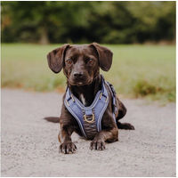 Produktbild von Hey Lana Premium Hundegeschirr gepolstert aus Neopren für Hunde XS Blau Grau