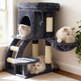 Heybly Kratzbaum für Katzen in Rauchgrau mit Plattform, Hängematte und Leiter, 75 cm – Bild 1 von 1