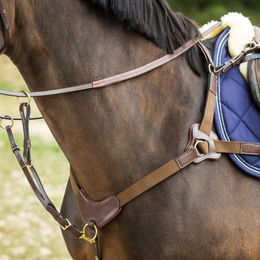HFI 5-Punkt Brustgurt braun Größe Pony – Bild 1 von 1