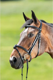 Produktbild von HFI Anatomic Leder Zaumzeug für Ponys in Braun oder Schwarz