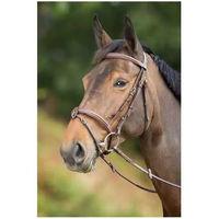 Produktbild von HFI Anatomic Leder Zaumzeug für Ponys in Braun oder Schwarz