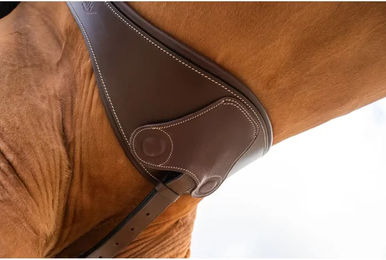 Produktbild von HFI Anatomische Reitbügelschnalle aus Leder mit Magneten
