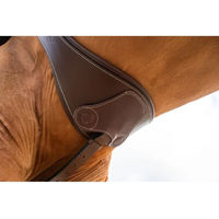 Produktbild von HFI Anatomische Reitbügelschnalle aus Leder mit Magneten