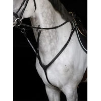 Produktbild von HFI Aosta Jagdhalsband für Pferde