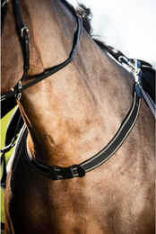 Produktbild von HFI Bricole Reiten elastisches Halfter Schwarz Größe M