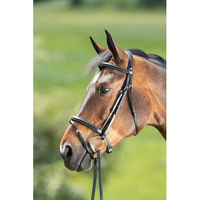 Produktbild von HFI Comfort Leder Zaumzeug Full für Pferde in Braun oder Schwarz