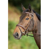 Produktbild von HFI Comfort Leder Zaumzeug für Ponys in Braun oder Schwarz