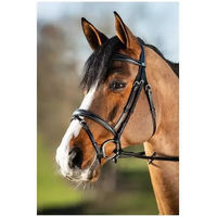 Produktbild von HFI Elegant Leder Zaumzeug Full für Pferde in Braun oder Schwarz