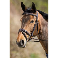 Produktbild von HFI Elegant Zaumzeug aus Leder für Pferde in Braun oder Schwarz