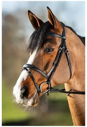 Produktbild von HFI Elegant Zaumzeug aus Leder für Ponys in Braun oder Schwarz