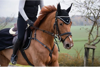 Produktbild von HFI Fliegenhaube Velvet für Fohlen in Schwarz aus Velours