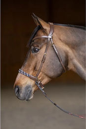 Produktbild von HFI Freedom Anatomisches Gebissloses Reithalfter aus Leder für Warmblut Pferde