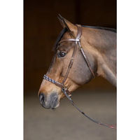 Produktbild von HFI Freedom Anatomisches Gebissloses Reithalfter aus Leder für Warmblut Pferde