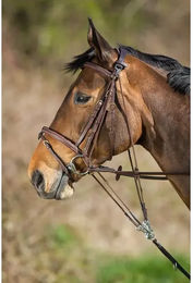Produktbild von HFI Gogue für Ponys aus Leder in Braun