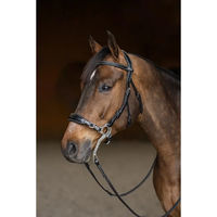 Produktbild von HFI Hackamore Trense aus Leder für Vollblut in Schwarz oder Beige