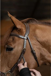 HFI Hackamore Trense aus Leder in Braun – Bild 1 von 1