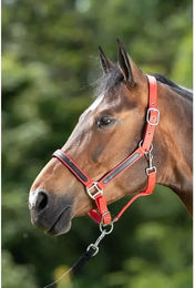 Produktbild von HFI Halfter First aus Nylon in Rot für Warmblut Pferde